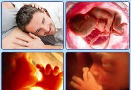 Пульсация живота у беременных: есть ли повод для беспокойства?