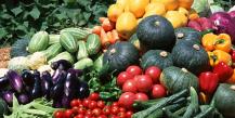 Osnovna pravila za gojenje zelenjave na odprtem terenu