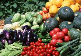 Basic rules for growing vegetables in the open field