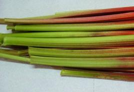 Rhubarb: agricultural cultivation techniques