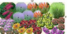 Ready-made designs for flower beds and perennial beds