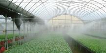 Automatic watering in a greenhouse - features of various systems, a simple example of manufacturing