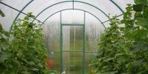 Preparing the greenhouse for winter, treating and disinfecting the greenhouse in the fall, strengthening the frame