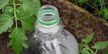 Root watering using plastic bottles