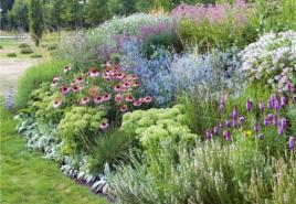 How to make a flower garden from continuous flowering perennials?